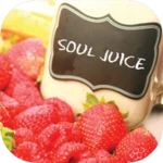 detox drinks recipes android application logo